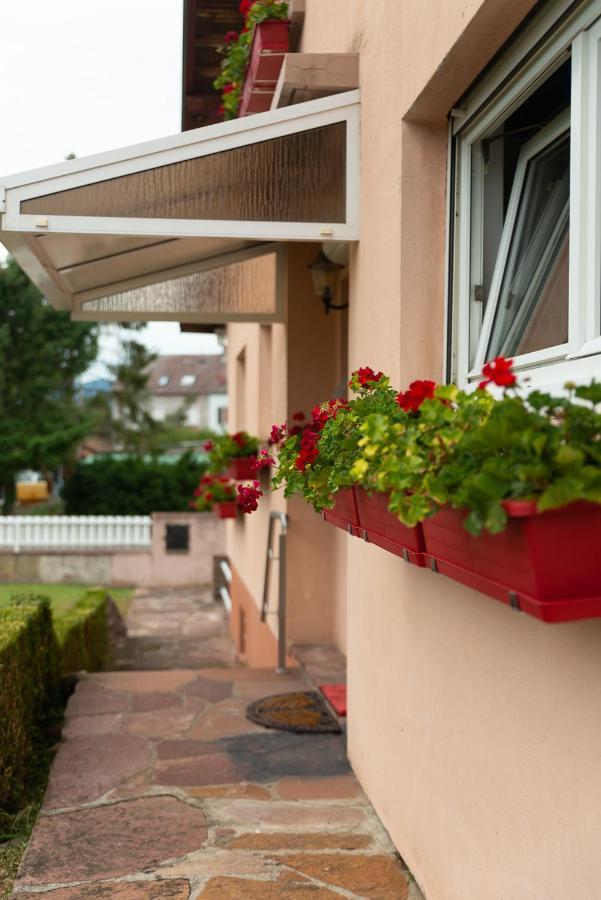 Gite Au Coeur De L'Alsace Maison Gatsby Staffelfelden Buitenkant foto